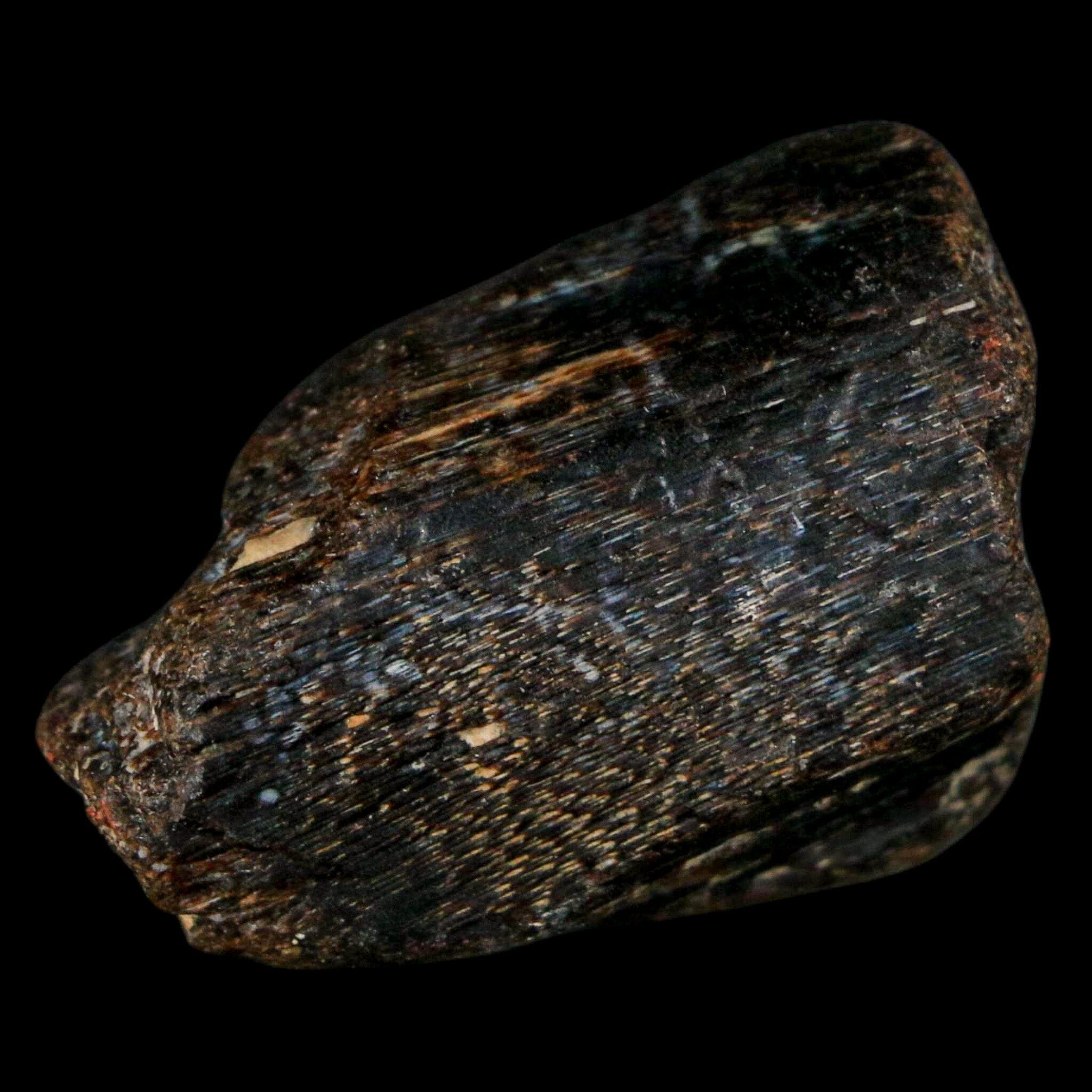 1.5