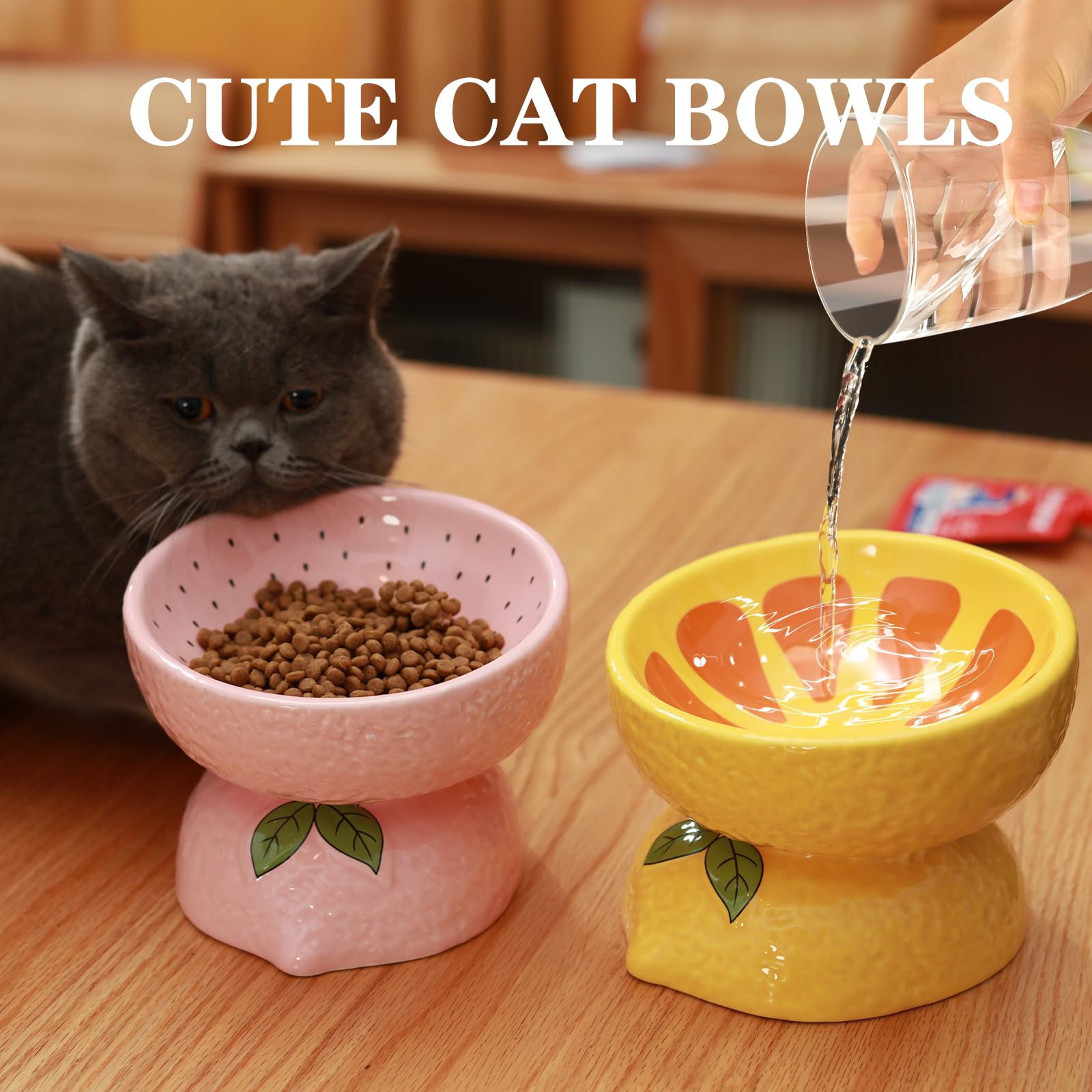 Elevated Cat Bowl - Ceramic Tilted Cat Food Dish for Indoor Cats & Small Dogs | Whisker-Friendly Shallow Wide Bowl for Adult Cats & Medium Pets | Perfect for Home, Kitchen & Pet Feeding Station (Yellow)