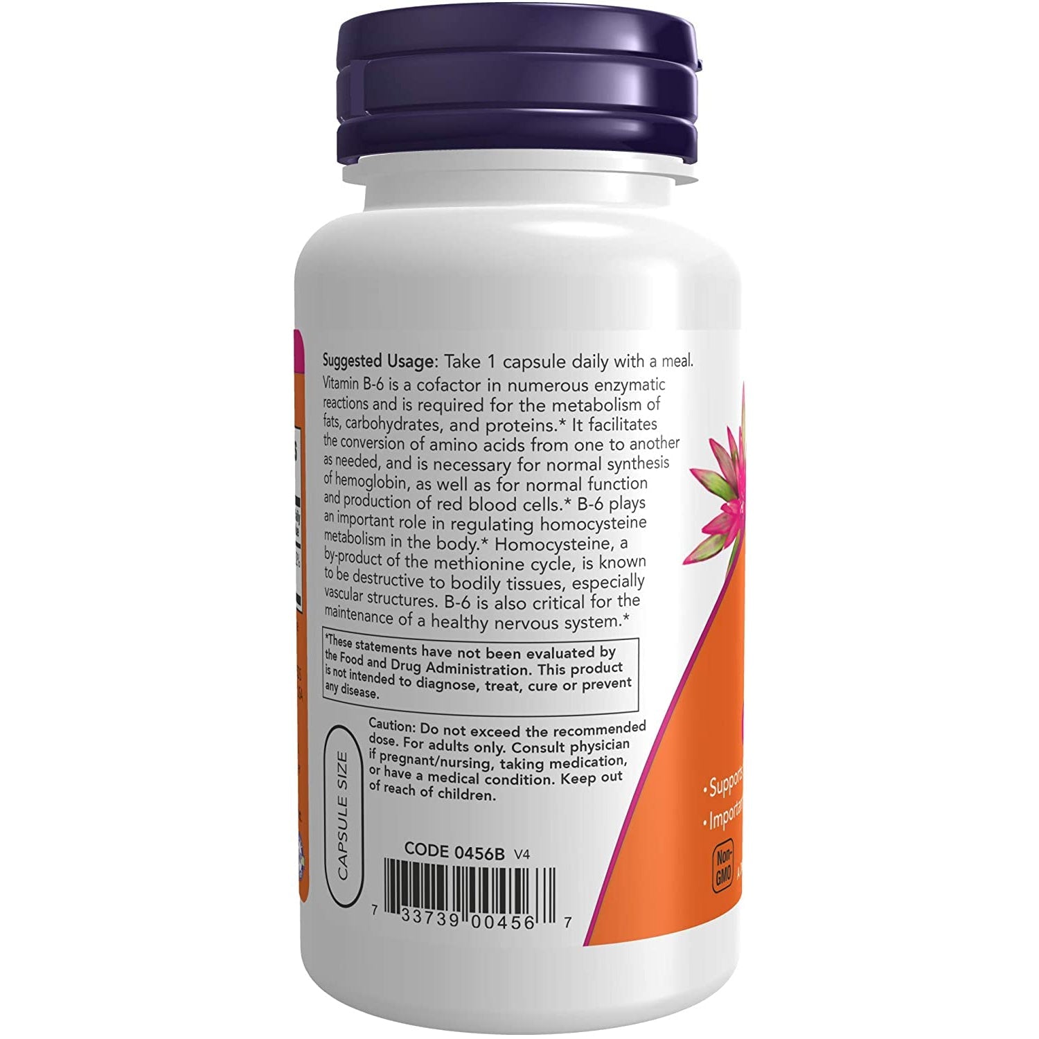 NOW Vitamin B6 100mg Capsules - Supports Energy, Metabolism & Nervous System - Vegan & Non-GMO Supplement for Stress Relief & Mood Balance