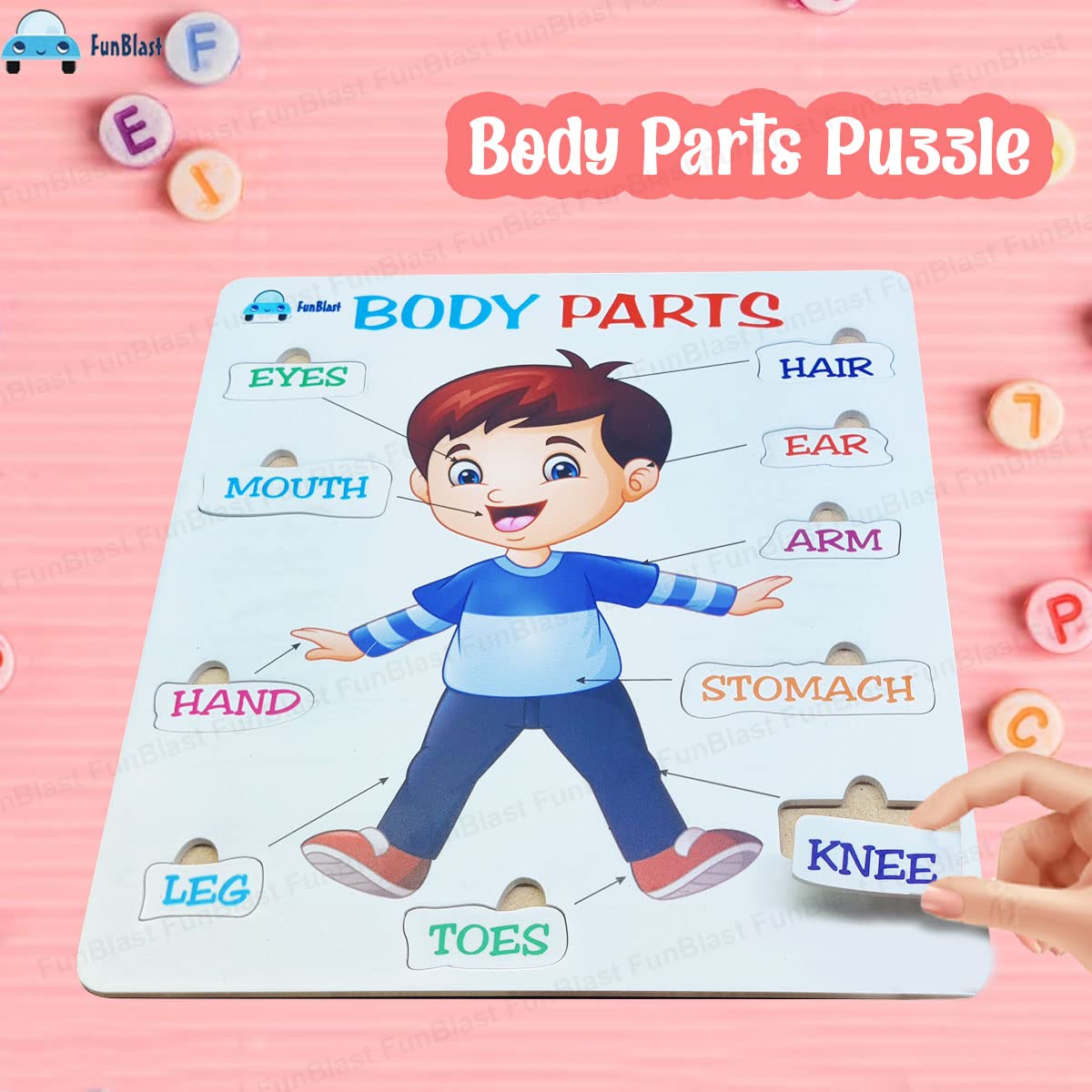 FunBlast Kids Body Parts Puzzle - Educational Learning Toy for Children, Human Anatomy Chart & Body Parts Game (1-Pack) - Perfect for Preschool, Homeschool & Classroom Learning Activities