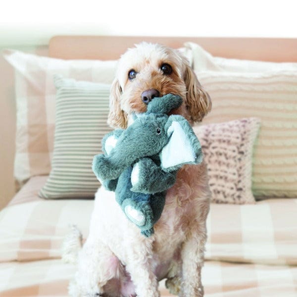 KONG Comfort Kiddos Bear Dog Toy - Soft Plush Chew Toy for Small & Medium Dogs - Cuddly Interactive Puppy Toy for Teething, Anxiety Relief & Playtime at Home or Outdoors