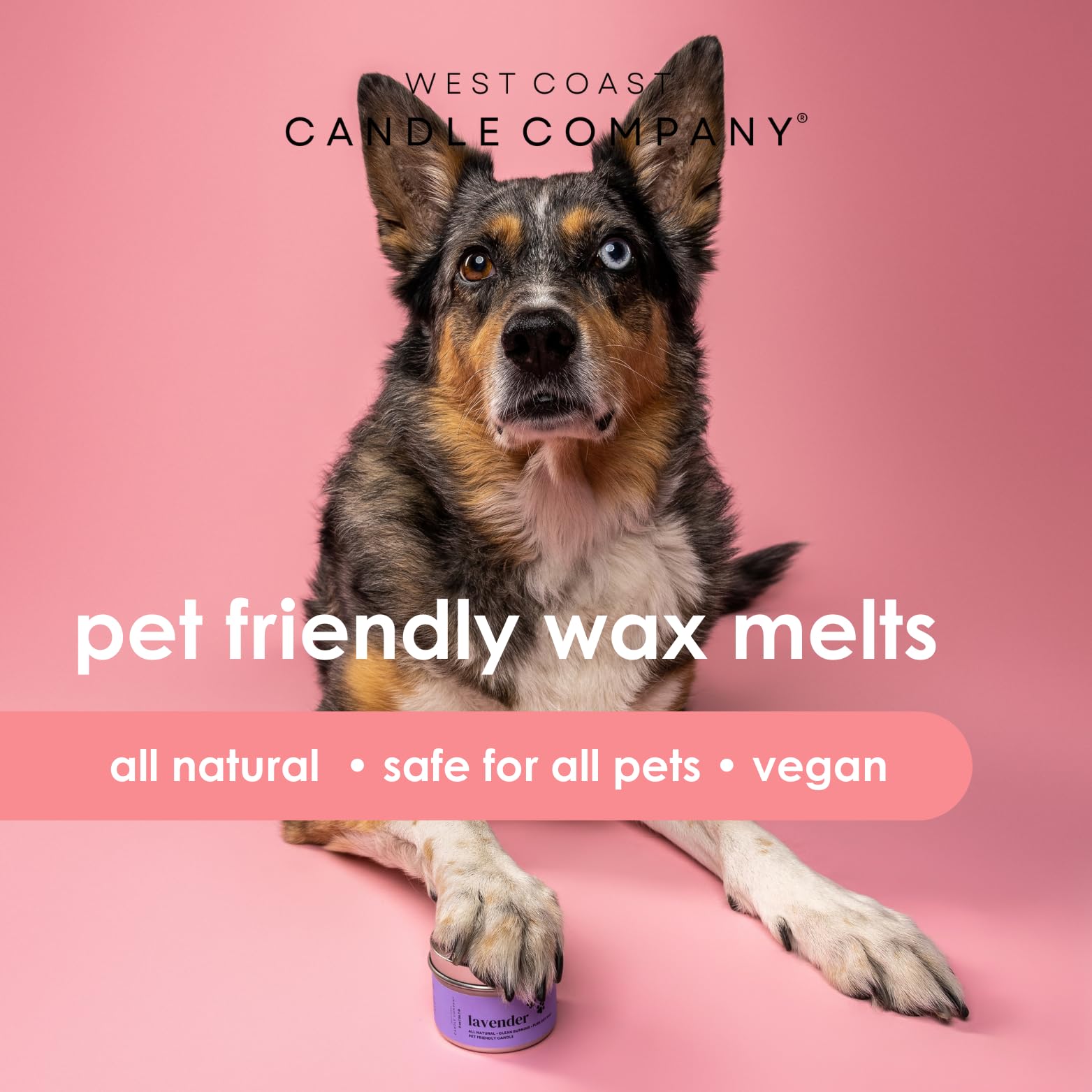 Pet Safe Wax Melts - All Natural, Non-Toxic Soy Wax Melts for Dogs & Cats | Veterinarian Approved Pet Odor Eliminator | Perfect for Home, Car & Office Air Freshening