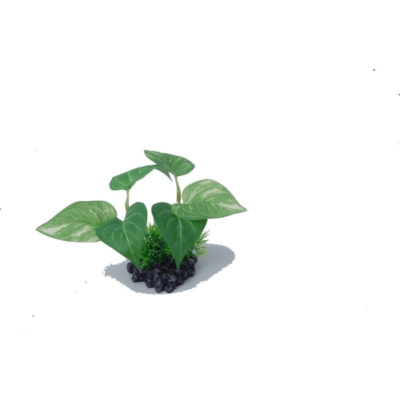 Aquatopia Small Aquarium Decor - 6 x 6 x 10cm Mini Underwater Ornament for Fish Tank, Perfect for Betta Fish, Goldfish & Tropical Aquariums - Ideal for Home, Office & Kids' Fish Bowl Decorations