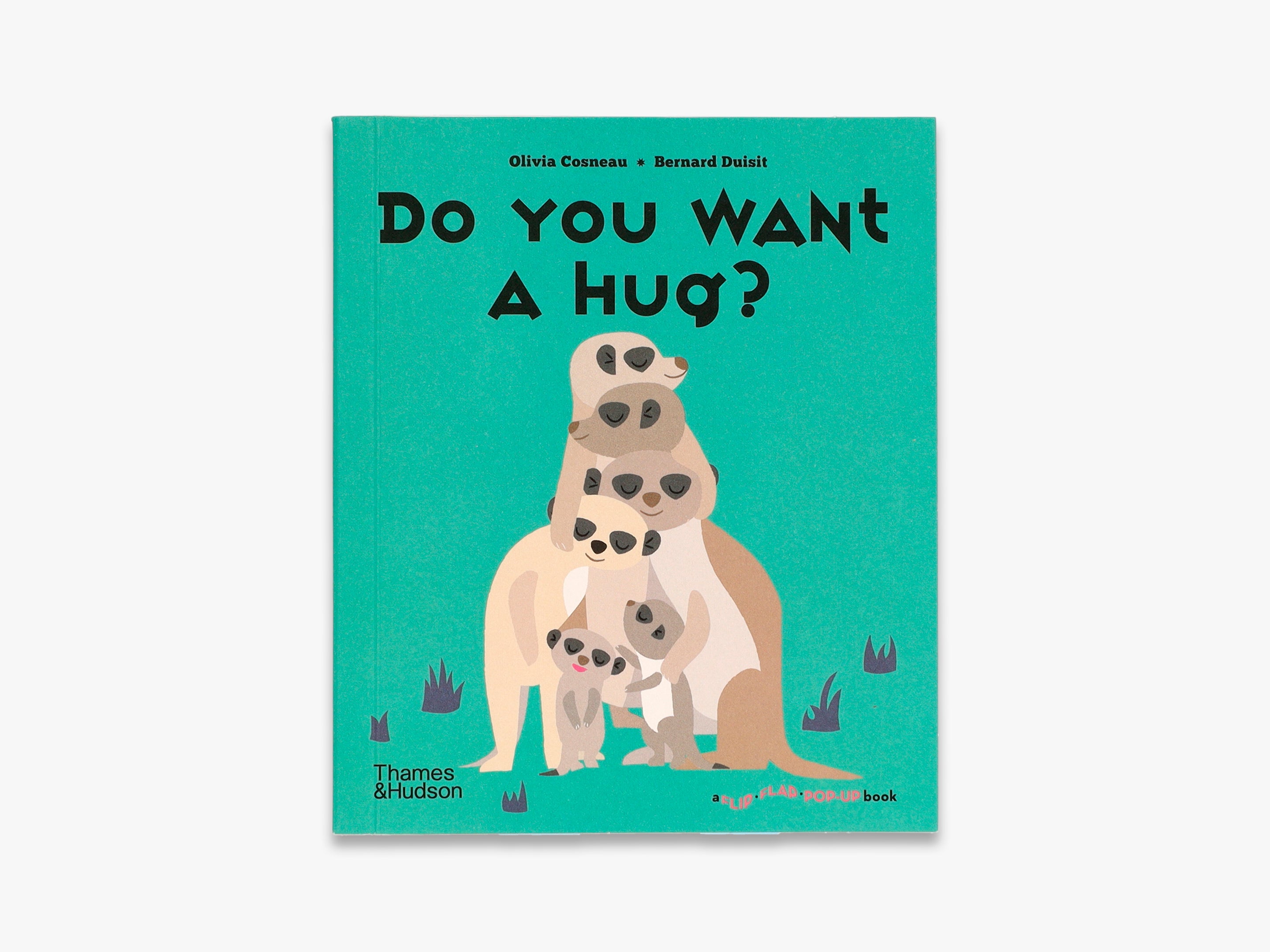 Do You Want a Hug? Interactive Pop-Up Book for Kids - Fun Flip Flap Storybook for Toddlers & Children's Bedtime Reading