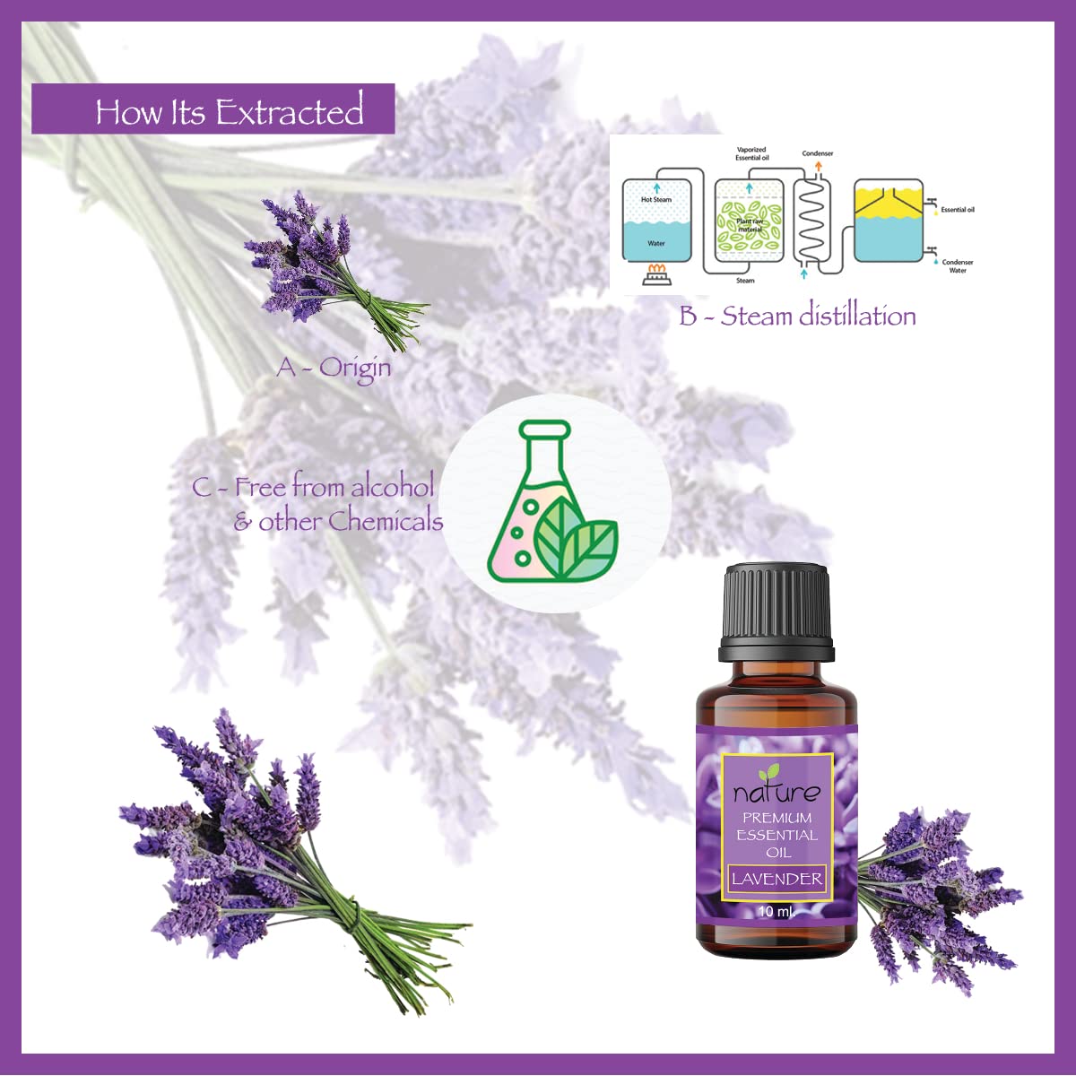 Organic Lavender & Rosemary Essential Oil Set - 100% Pure Natural Aromatherapy Oils for Diffusers, Massage & Relaxation (10ml Each) - Perfect for Stress Relief, Sleep Aid & Home Spa