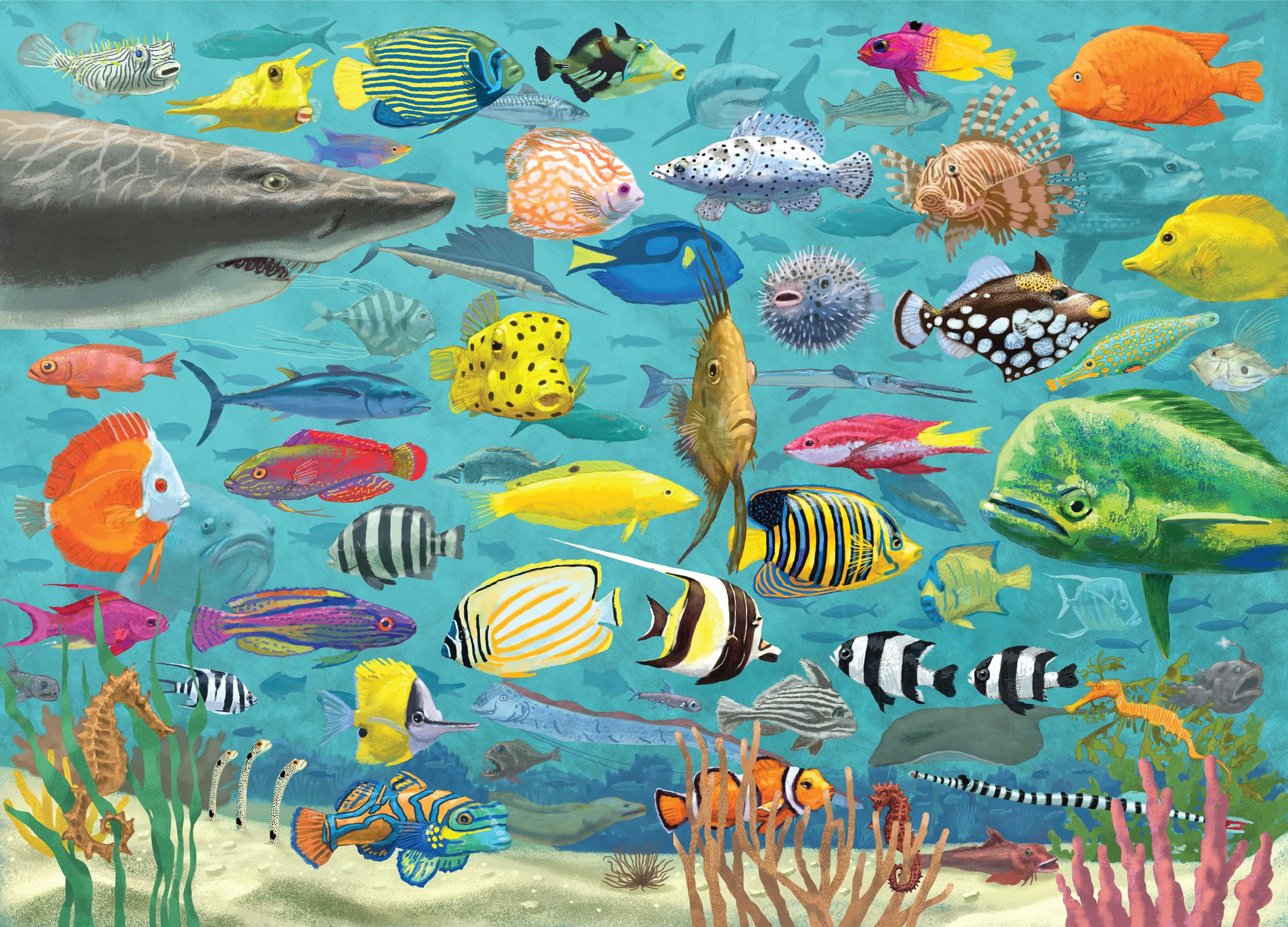 PETER PAUPER PRESS All The Fish 1000 Piece Jigsaw Puzzle - Colorful Ocean Life Puzzle for Adults & Teens - Perfect for Family Game Night & Stress Relief
