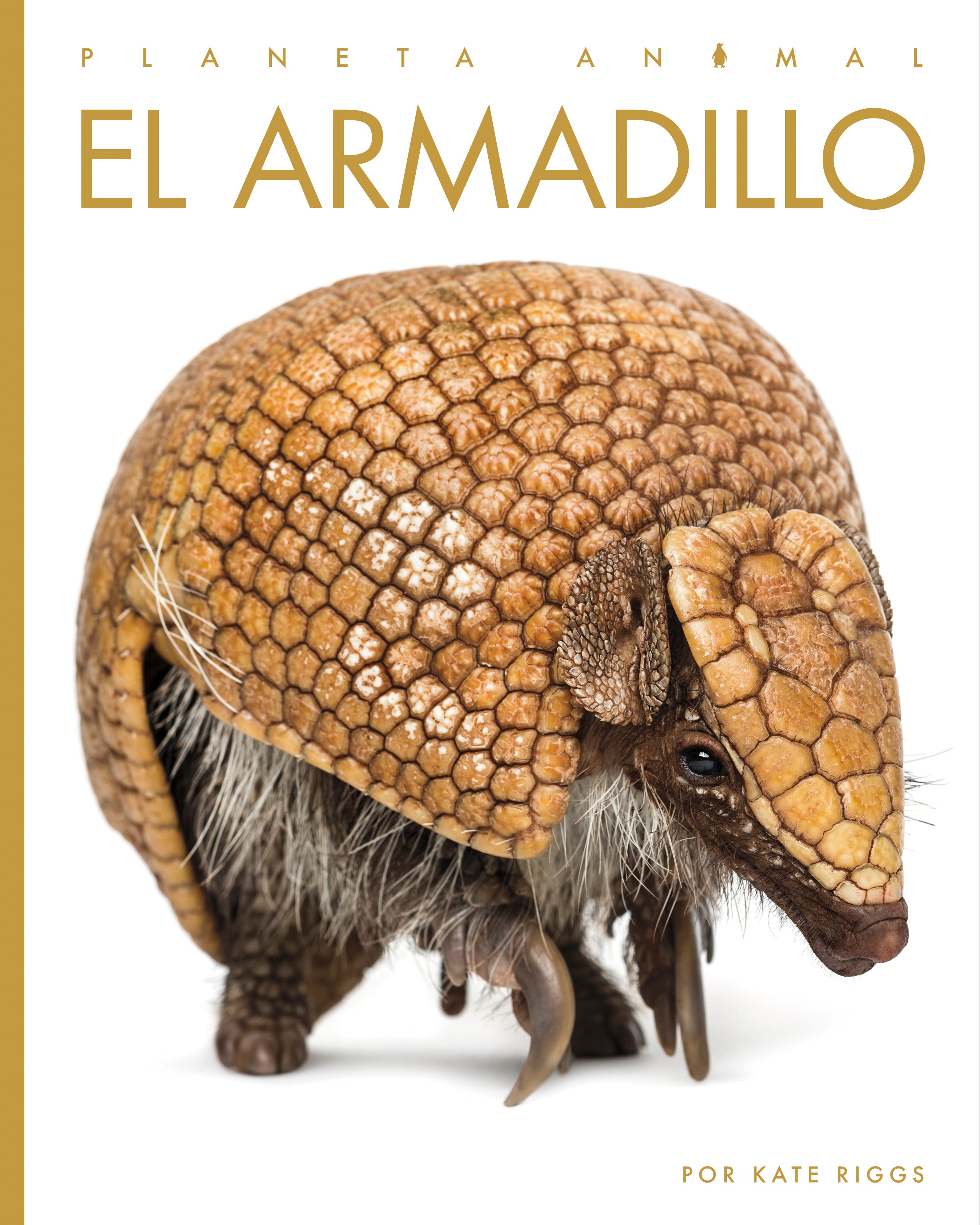 El Armadillo Book 9781640265820 - Learn About Armadillos, Wildlife Education, and Nature Exploration - Perfect for Kids, Students, and Animal Lovers