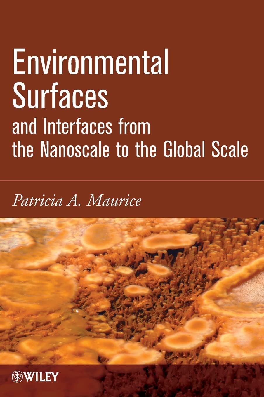 Environmental Surfaces & Interfaces: Nanoscale to Global Scale Applications for Research & Industry