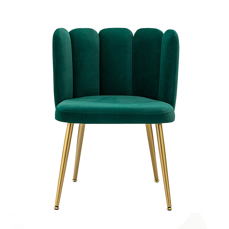 Elodia Side Chair - Modern Accent Chair for Dining Room, Living Room & Office - Sturdy Wooden Frame with Upholstered Seat - Perfect for Home Decor & Small Spaces