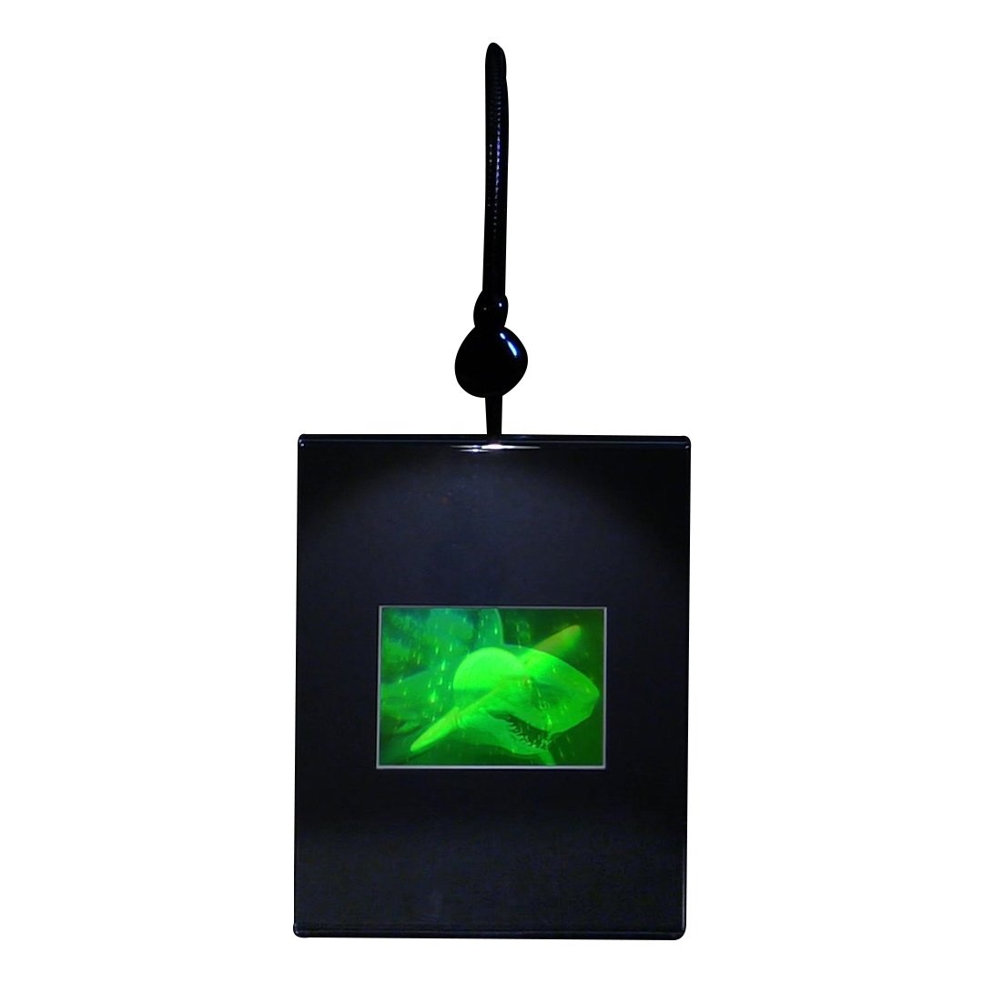 3D Great White Shark Hologram Picture with LED Lighted Desk Stand - Collectible Photopolymer Film for Home & Office Decor, Unique Gift Idea
