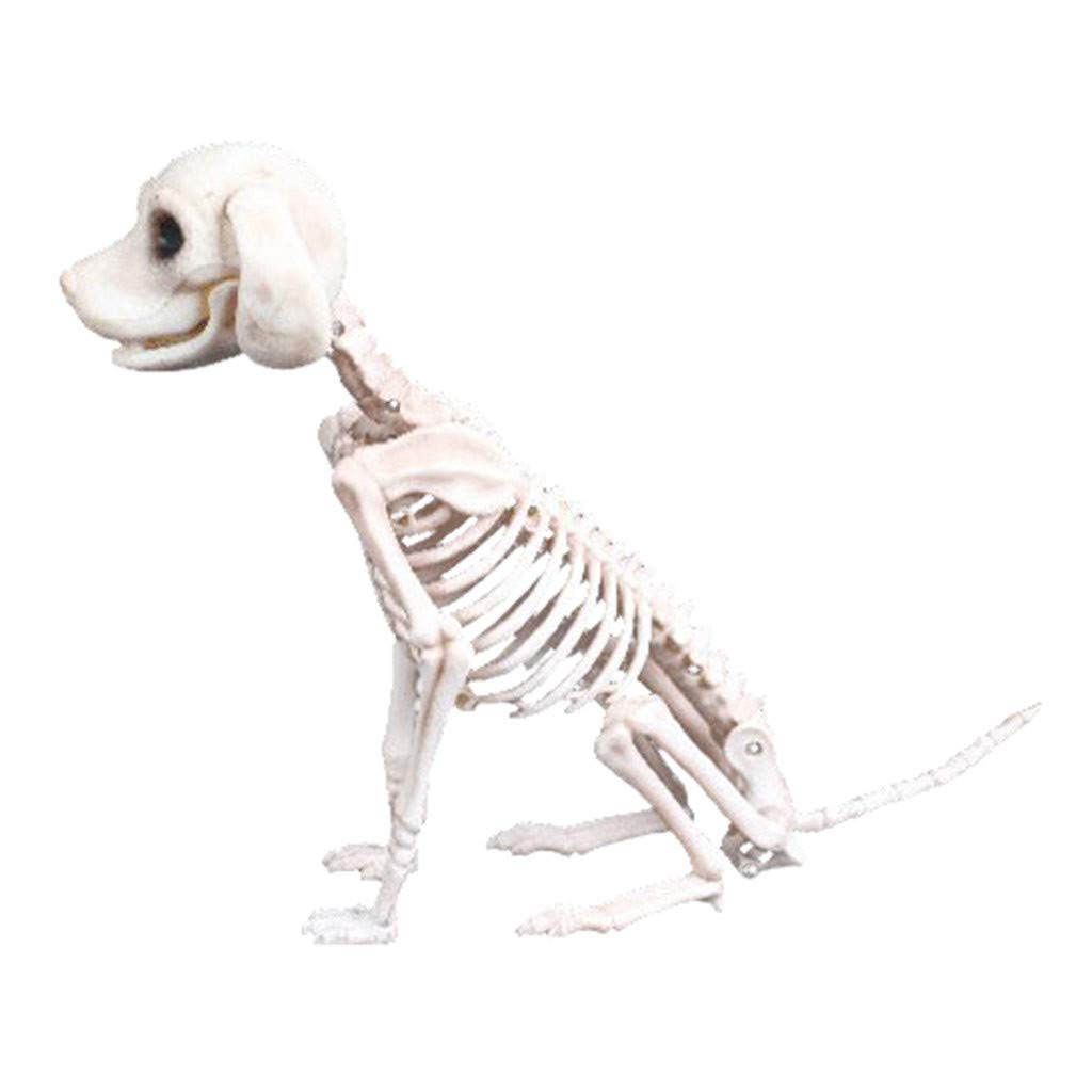 Vintage Halloween Skeleton Dog Prop - Realistic Animal Bones Decor for Spooky Party, Haunted House & Horror Theme Shop - Scary Halloween Party Favors & Clearance Decorations (Perfect for Trick-or-Treat, Yard Displays & Themed Events)