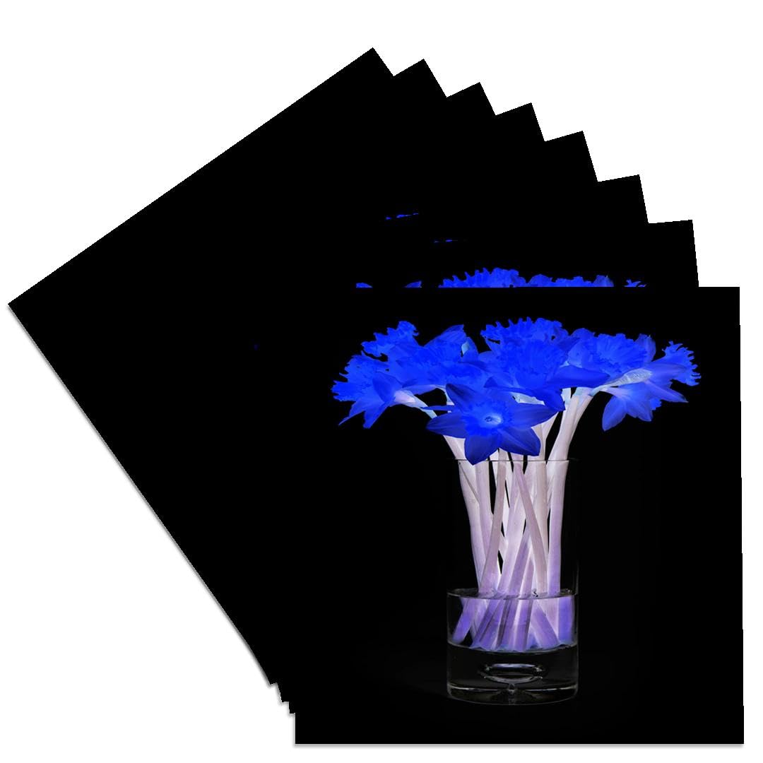 3dRose CST_9391_4 Radiant Blue Daffodils in Vase Ceramic Tile Coasters - Set of 8 Coasters for Home Decor, Kitchen, Dining Table & Office Use