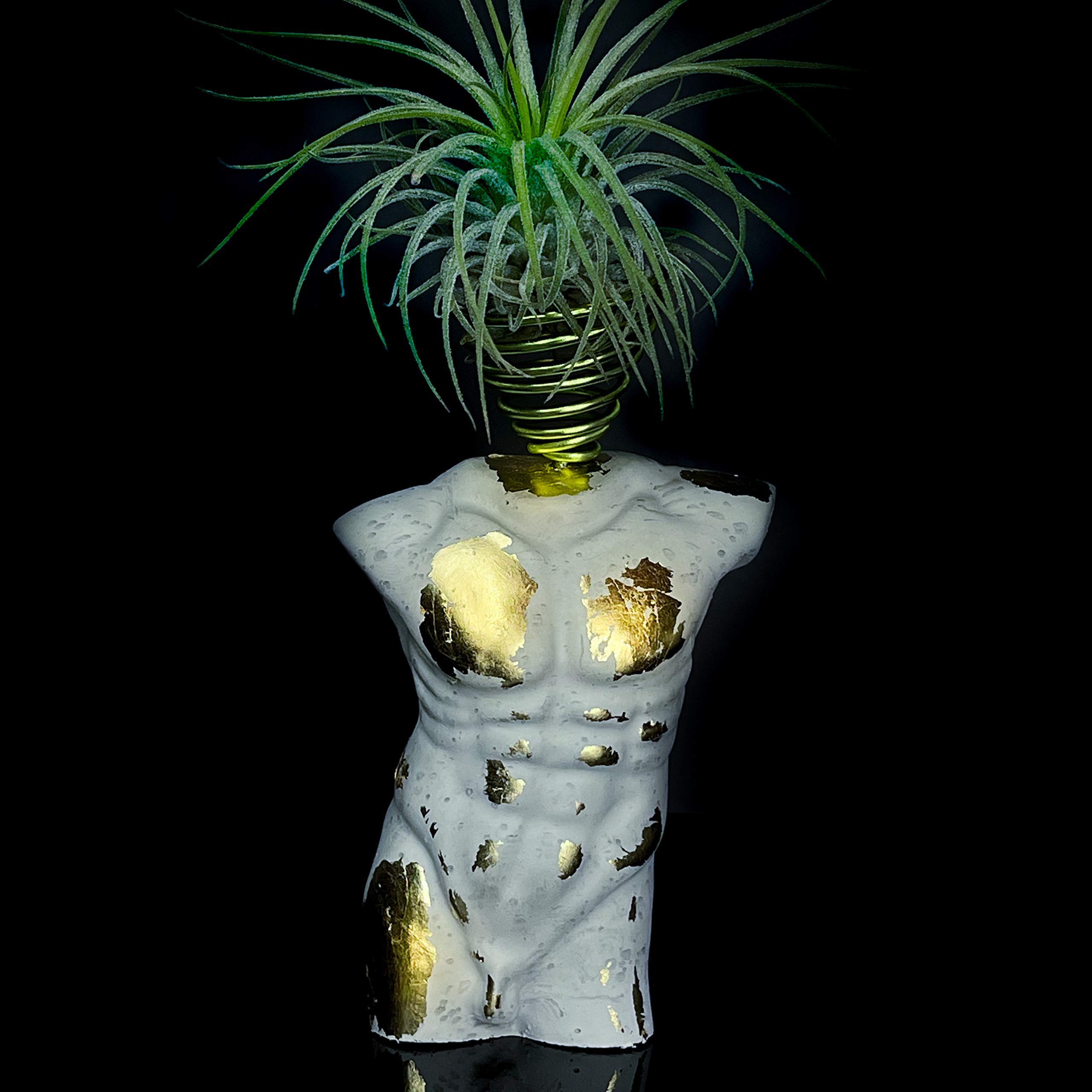 Stylish Concrete Air Plant Holder - Mini Male Torso Stand for Tillandsia | Small Decorative Planter with Geode Accent | Perfect for Desk, Table & Shelf Decor | Home & Office Plant Display