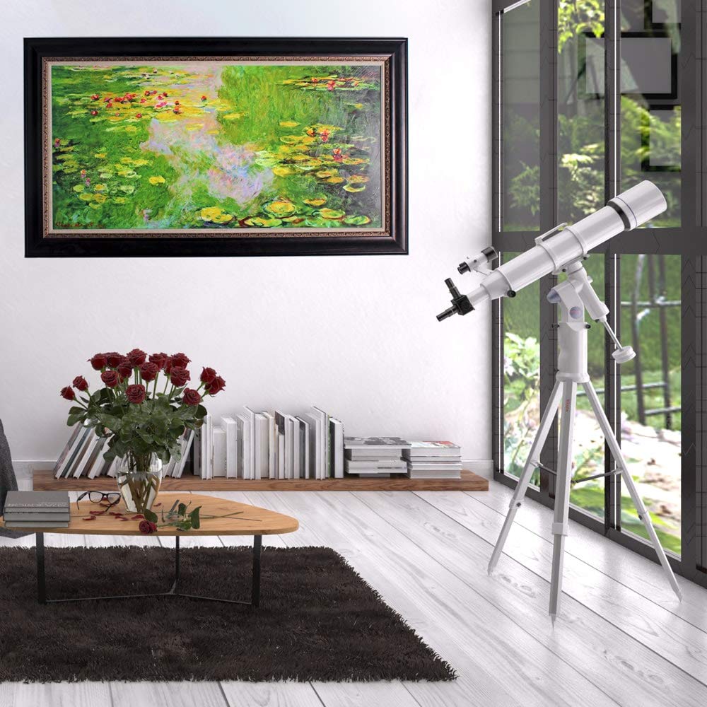 Wexford Home Gallery Wrapped Canvas Wall Art - 32x32 Inch Modern Floral Painting 'Garden Party II' by Weston Home - Perfect for Living Room, Bedroom & Office Decor