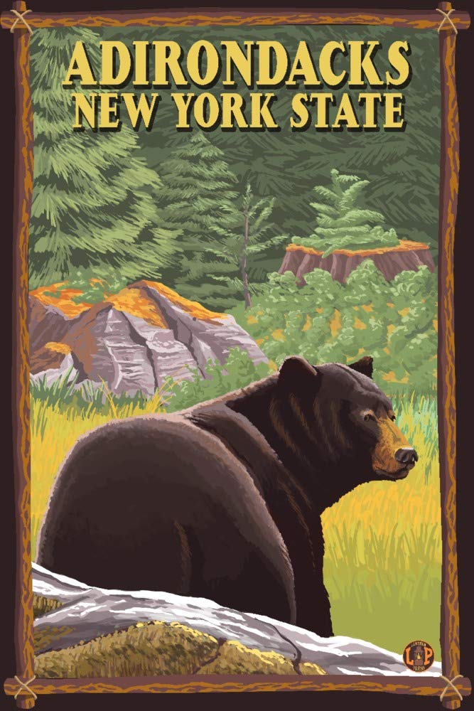 Signed Adirondacks New York Black Bear Forest Art Print - 24x36 Wall Decor Poster for Living Room, Office & Cabin Decor
