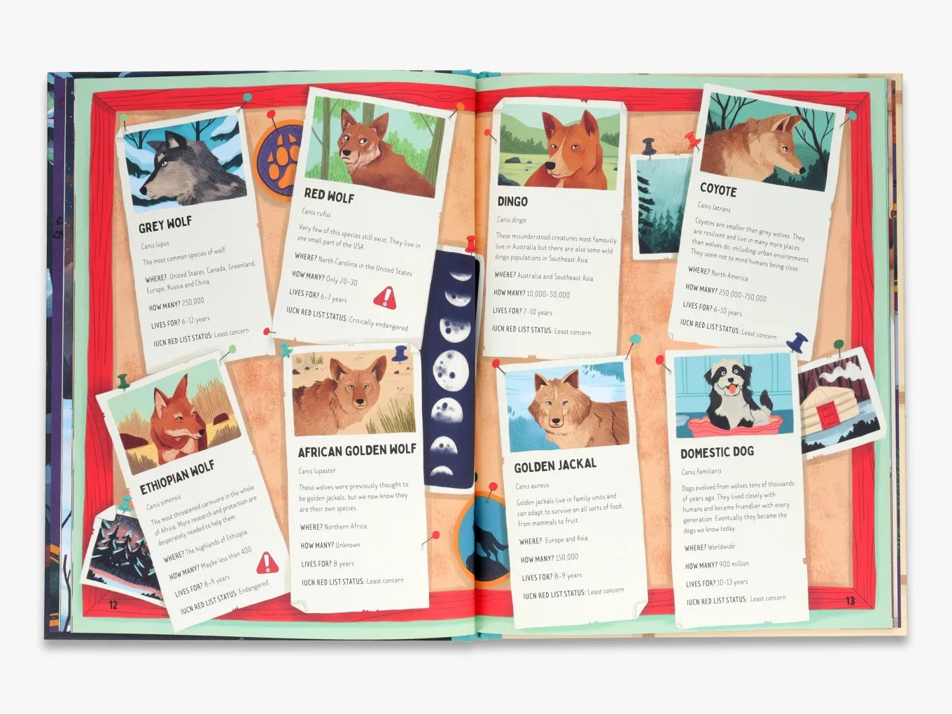 Are Wolves Afraid of the Dark? - Wildlife Behavior Book for Kids | Perfect for Bedtime Stories & Nature Education