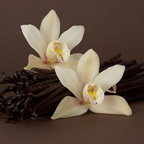 Premium Vanilla Water Soluble Fragrance Oil (500ml) - Long Lasting Scent for DIY Perfumes, Candles & Soap Making | Free N95 Mask Included | Perfect for Home, Spa & Gift Giving
