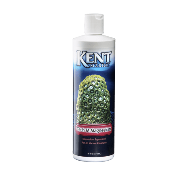 Kent Tech M Magnesium Supplement - High Absorption Magnesium for Muscle Recovery, Sleep & Stress Relief | Vegan, Non-GMO | Supports Energy, Relaxation & Heart Health - Ideal for Athletes, Fitness & Daily Wellness