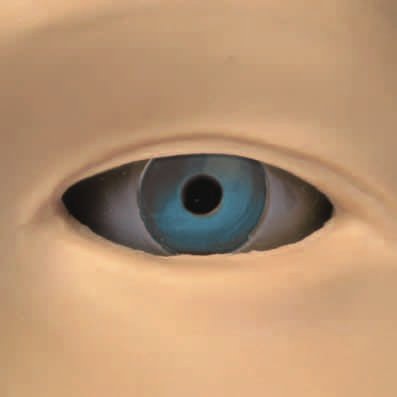 Professional EYE Examination Simulator II (2 Steps) - Perfect for Ophthalmology Training & Clinical Practice