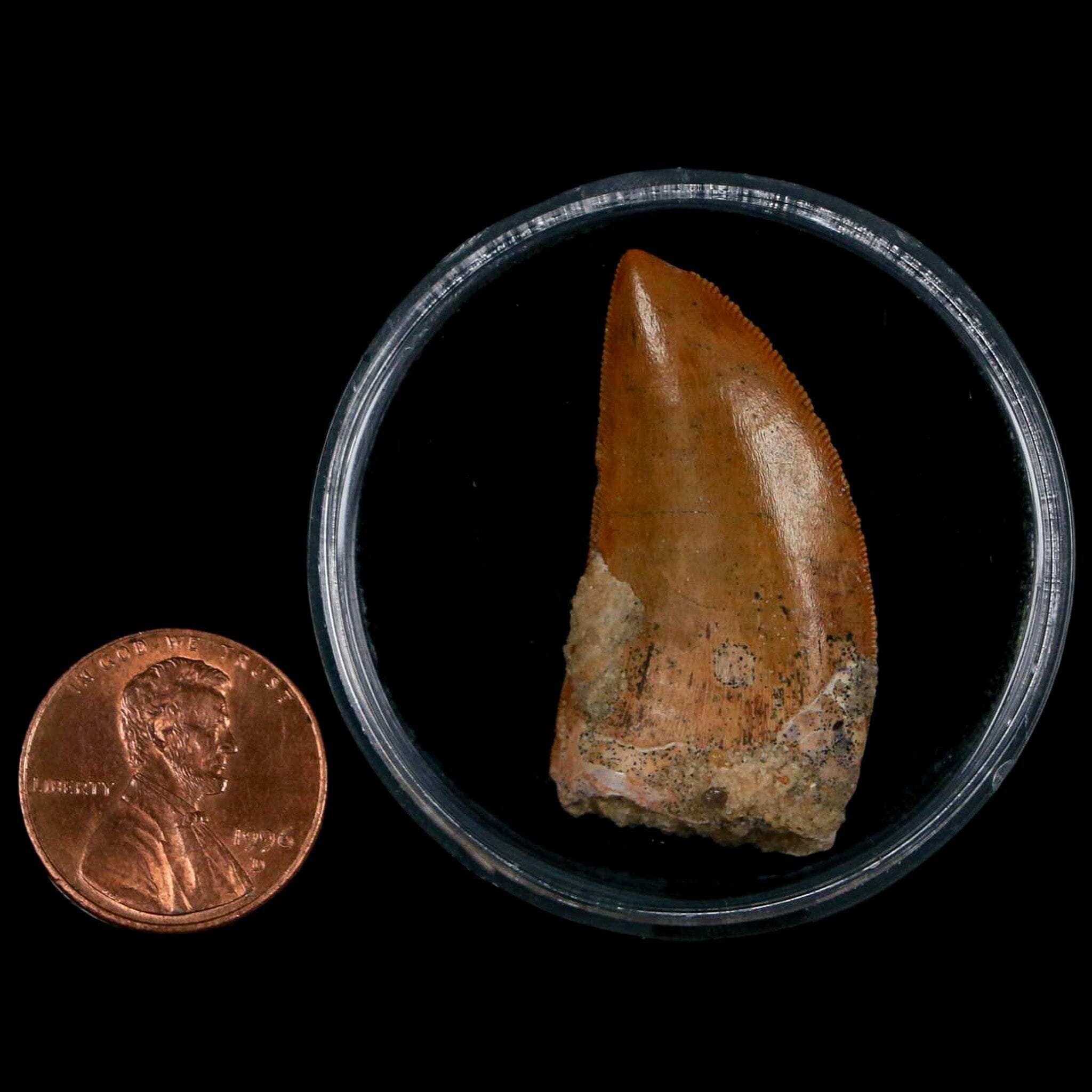 1.5