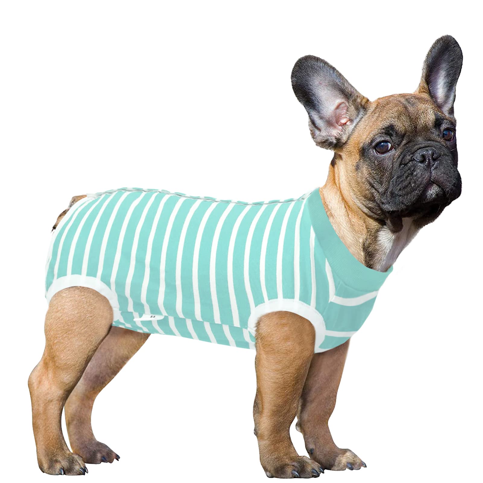 SAWMONG Dog Recovery Suit for Post-Surgery Care - Soft Surgical Suit for Female & Male Dogs - Alternative to E-Collar Cone - Green Small Size - Perfect for Spay/Neuter Recovery, Wound Protection & Comfort at Home