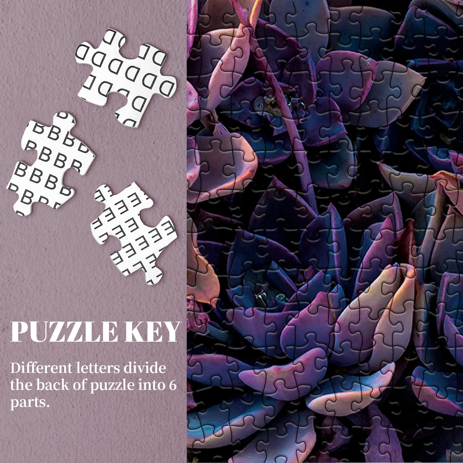 1000-Piece Impossible Purple Succulent Jigsaw Puzzle - Challenging Adult Puzzle with Vibrant Plant Design - Perfect for Stress Relief, Family Game Night & Home Decor