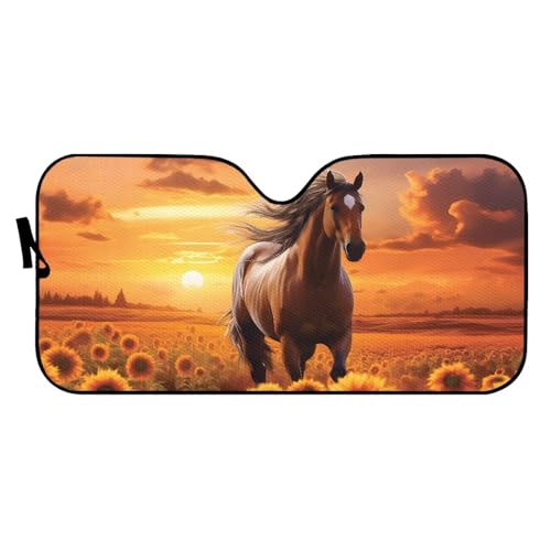 Sunset Horse