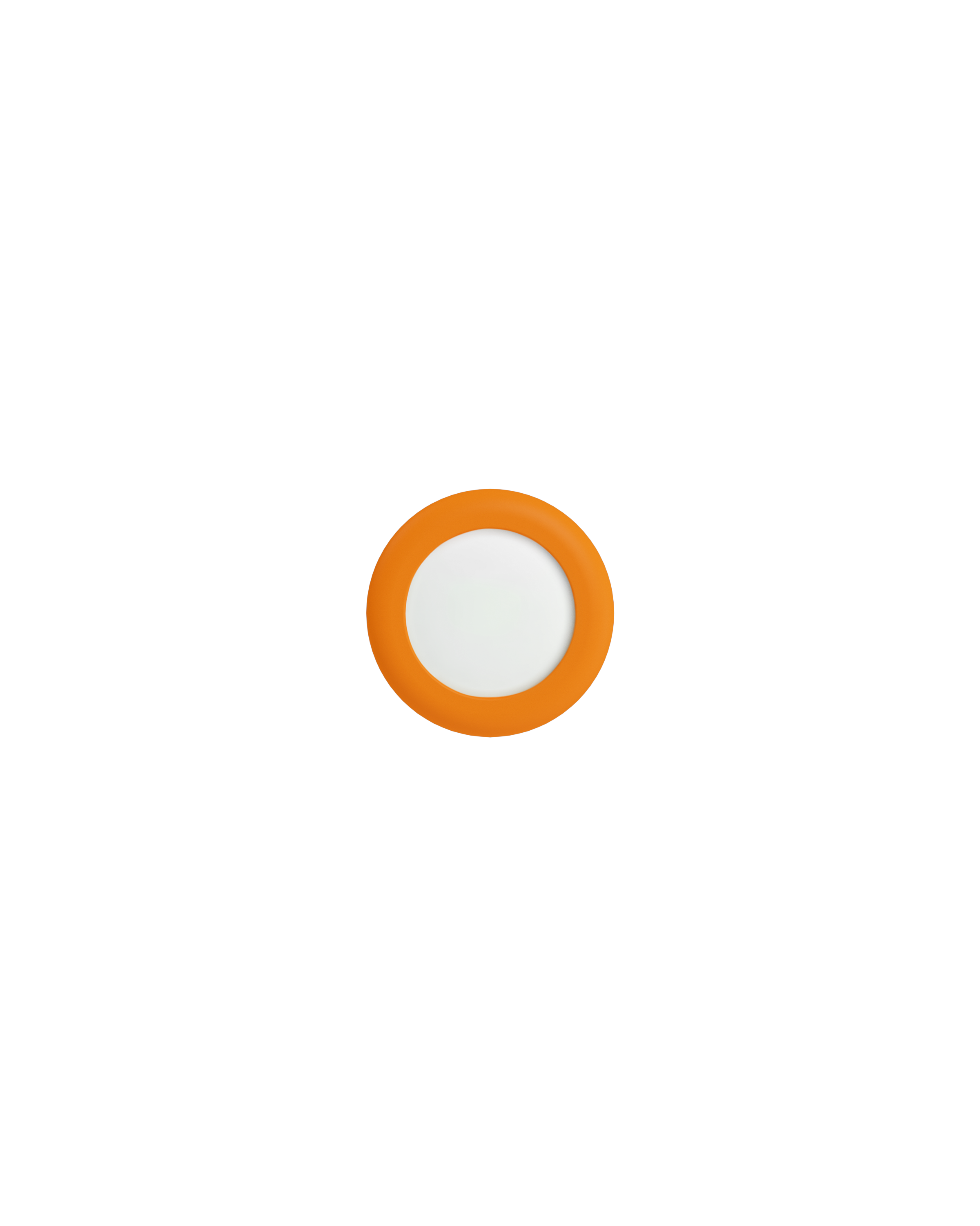 Neon Orange