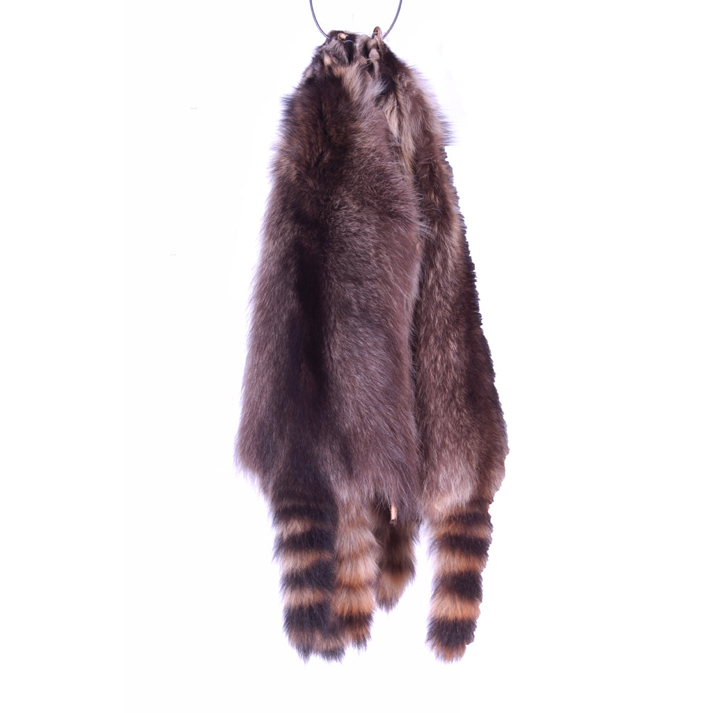 Premium Raccoon Fur Pelts - Medium Size for Taxidermy, Crafts & Home Decor | Durable & Soft Natural Fur for DIY Projects & Hunting Trophies