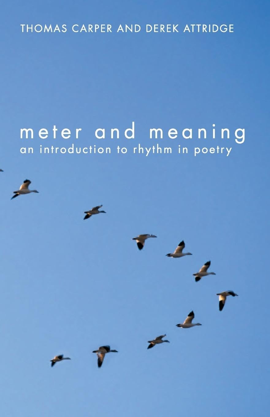 Understanding Rhythm in Poetry: A Guide to Meter & Poetic Techniques | Perfect for Students, Writers & Poetry Lovers