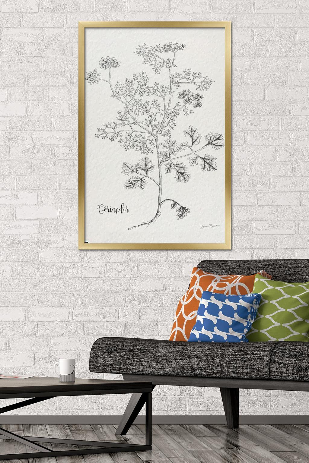 Trends International Jean Plout - Botanical Coriander Wall Art Print Poster 22.375x34 Inches, Gold Framed Home Decor for Kitchen, Dining Room or Office