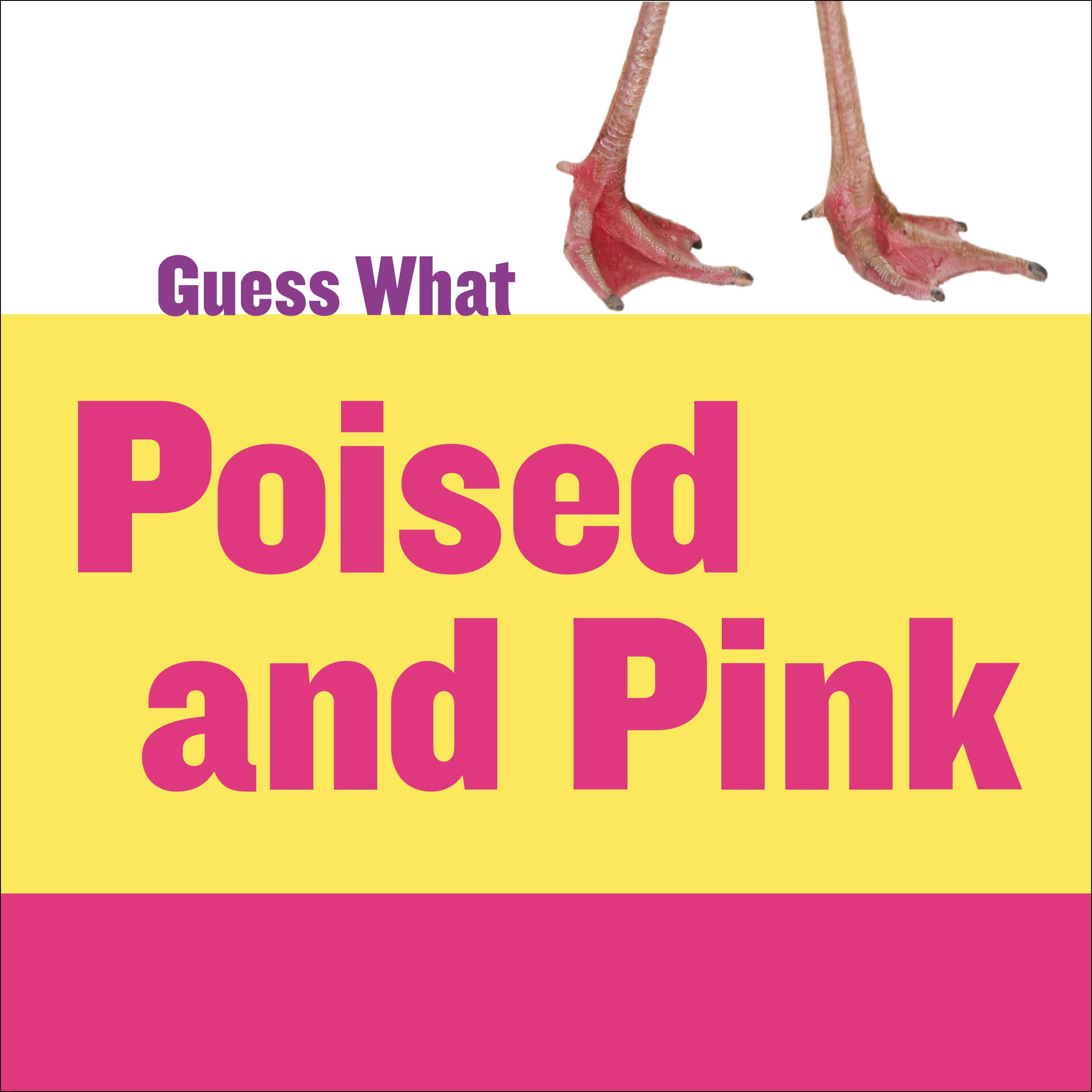 Stylish Pink Flamingo Decor - Perfect for Home, Office & Party Decorations | Guess What Collection