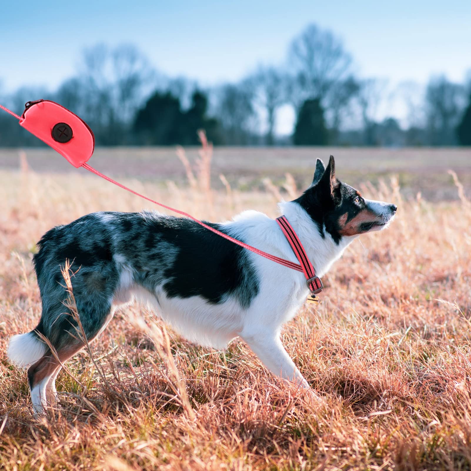 Durable Dog Training Leash - Heavy Duty Pet Leash for Puppy Pulling, Walking & Safety | Adjustable Reflective Dog Lead for Outdoor Activities, Hiking & Obedience Training