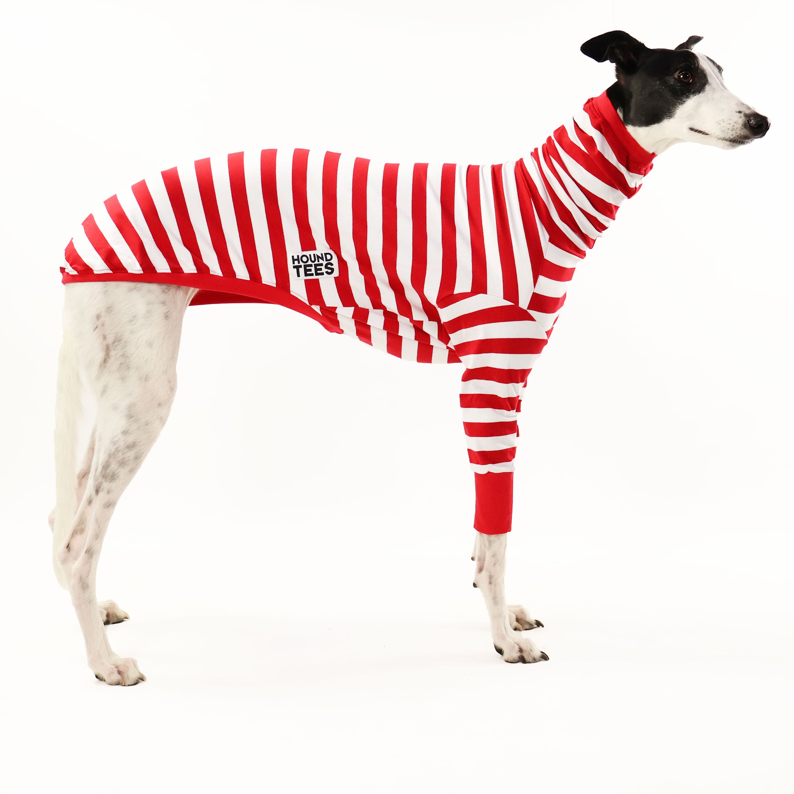 Wally Greyhound Long Sleeve Hound Tee - Comfortable Dog-Themed Shirt for Men & Women - Perfect for Casual Wear, Dog Lovers, and Outdoor Activities