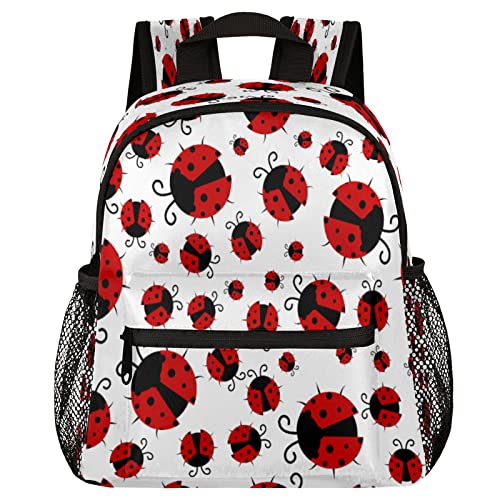 Ladybug