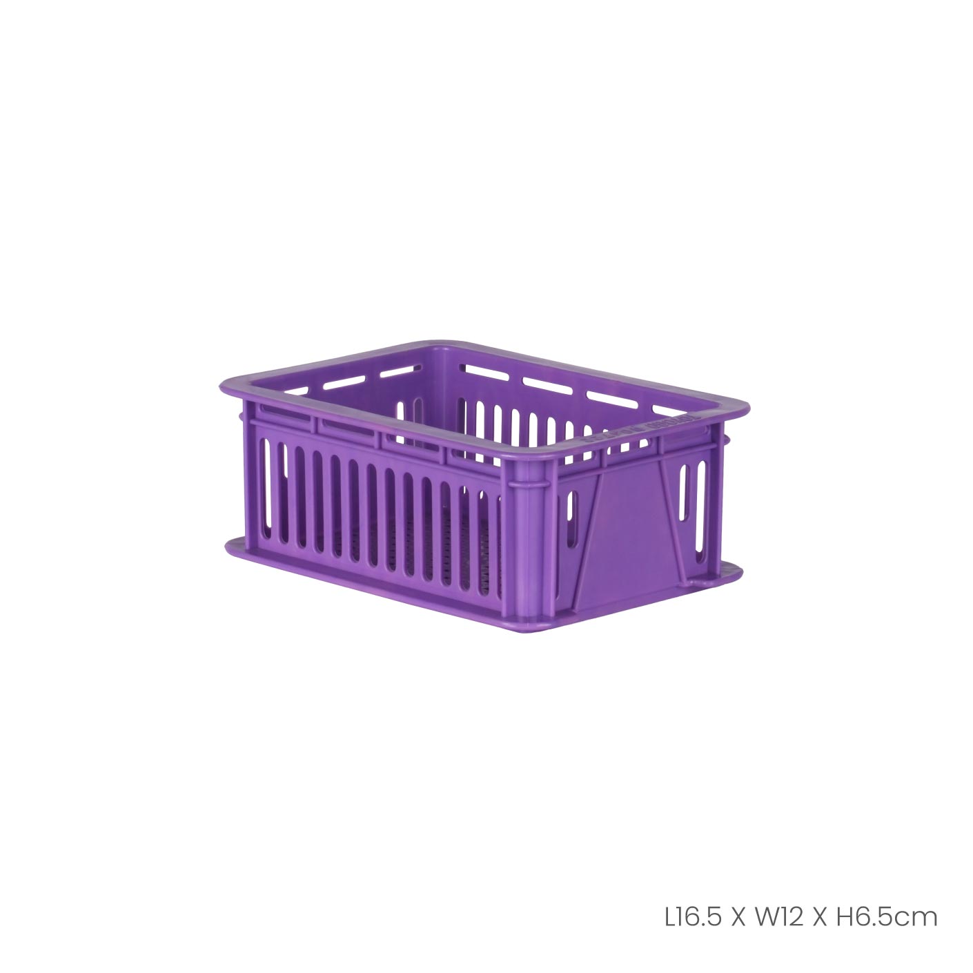 PURPLE (4722-PRP)
