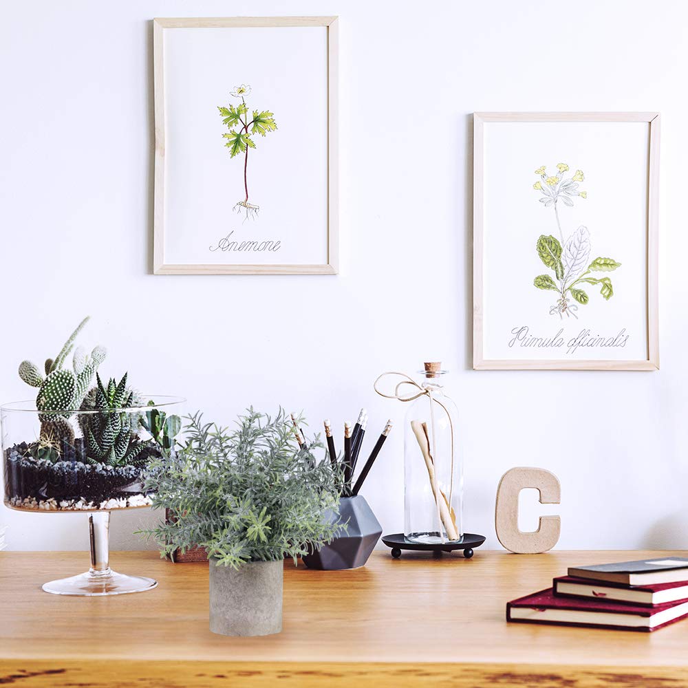 Winlyn Set of 3 Mini Artificial Eucalyptus Plants - Fake Plastic Greenery for Home Office Desk Decor, Bathroom & Shower Room Decorations - Perfect for Farmhouse, Wedding Centerpieces and Shelf Styling