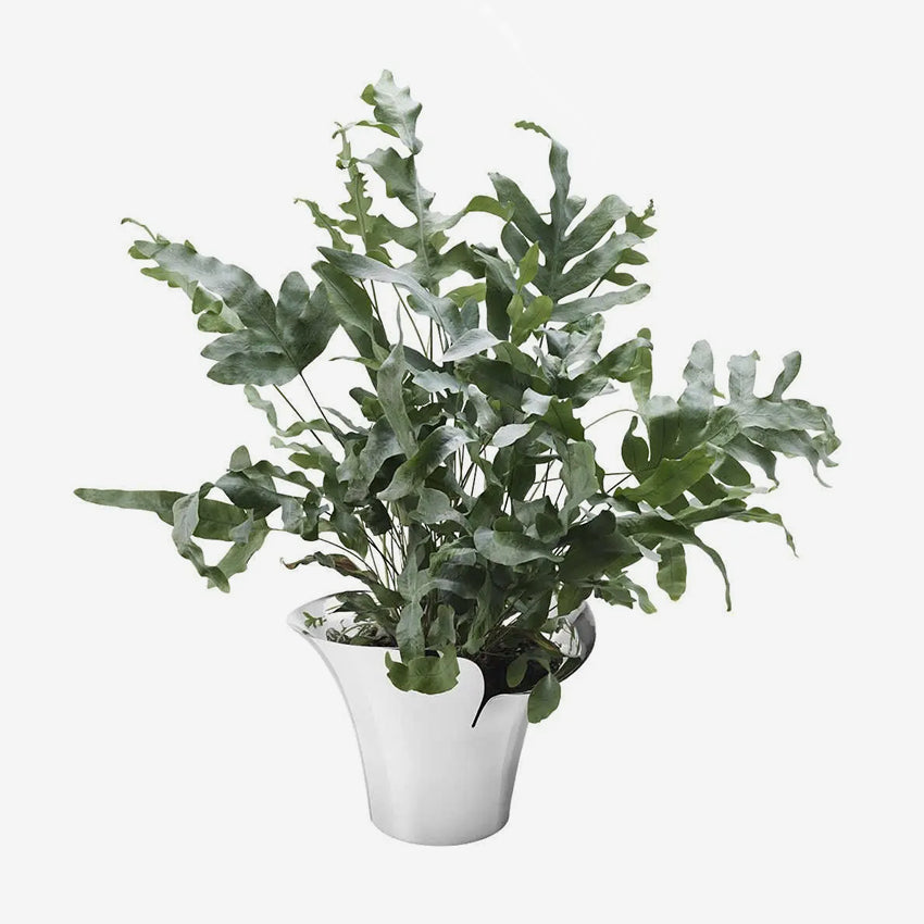 Georg Jensen Bloom Botanica Flower Pot - Elegant Scandinavian Design Indoor Plant Pot for Home & Office Decor - Perfect for Succulents, Herbs, and Small Plants