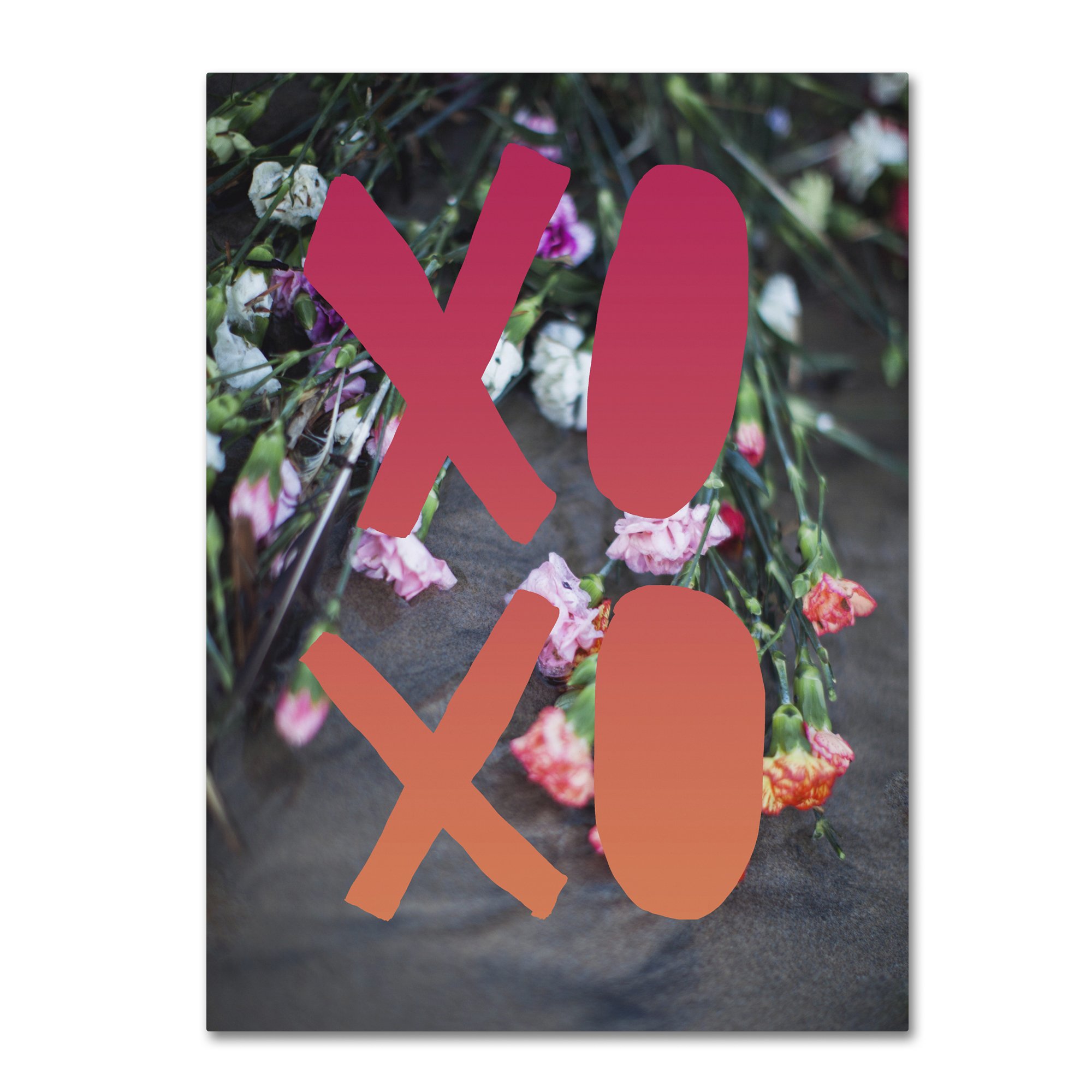 Leah Flores XOXO Canvas Wall Art - 35
