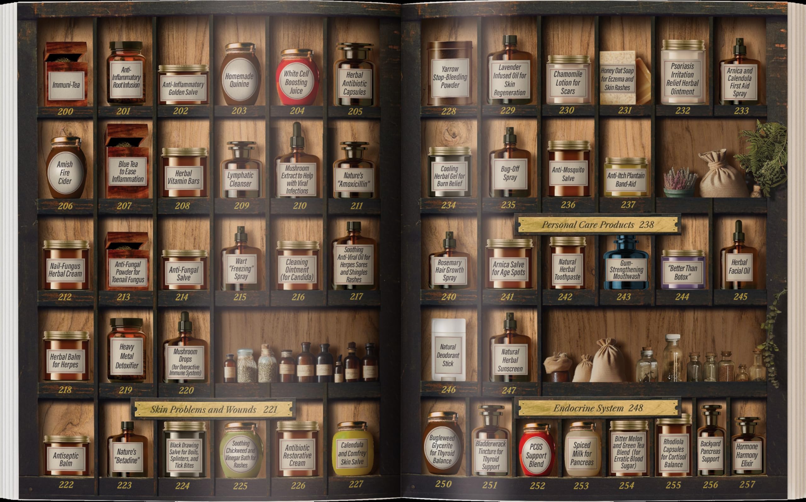 Forgotten Home Apothecary: 250 Powerful Herbal Remedies for Natural Healing - Perfect for Home Wellness, First Aid, and Self-Care