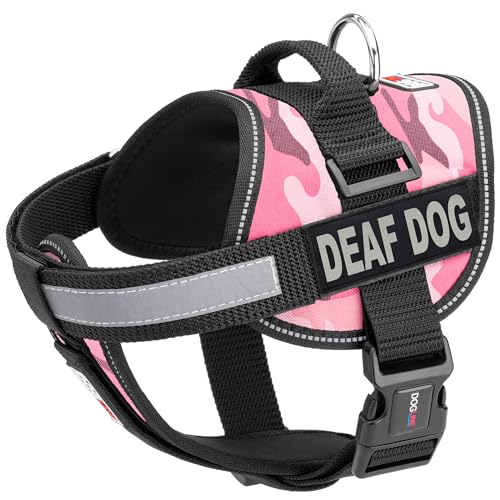Pink Camo