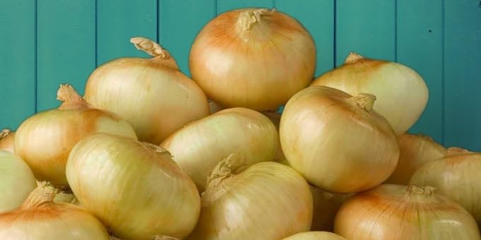 Fresh Sweet Vidalia Onions - USA Grown, Non-GMO, 5lb Bulk Bag - Perfect for Salads, Soups, and Healthy Cooking