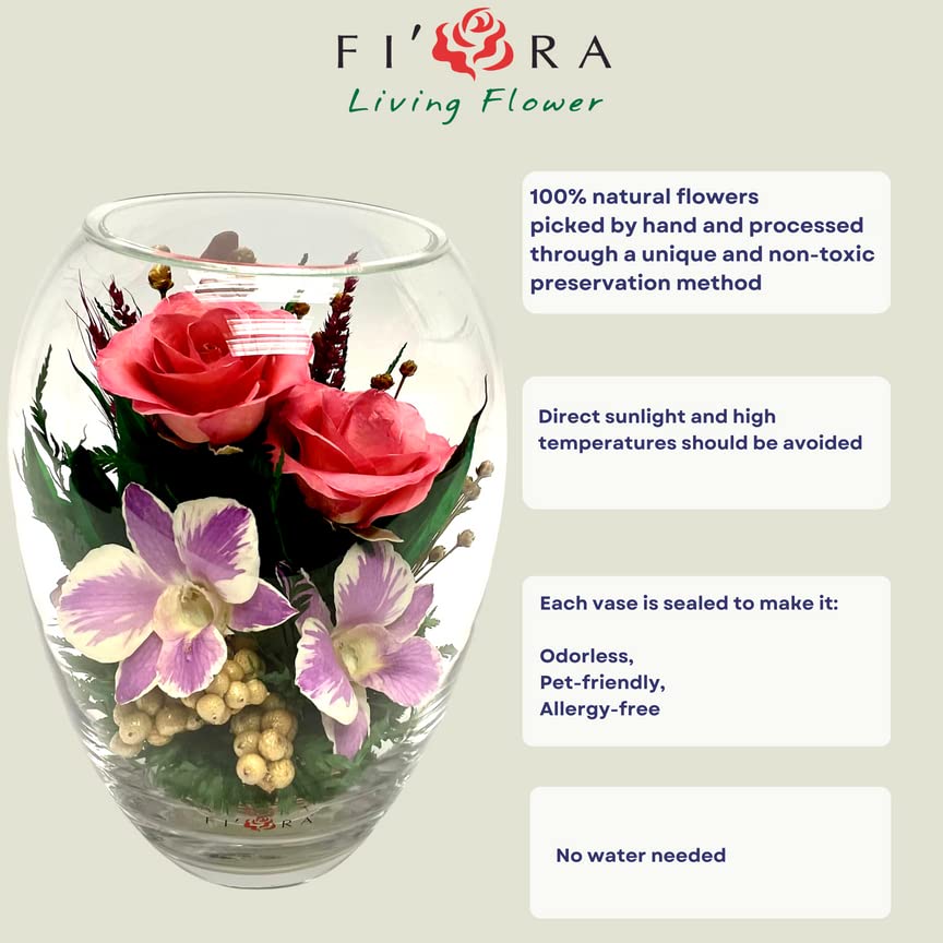 Luxury Preserved Orchid Arrangement in Glass Vase - Long-Lasting Silk Flowers for Anniversary, Wedding, Corporate Gifts - Perfect for Home Decor, Office Centerpiece & Special Occasions