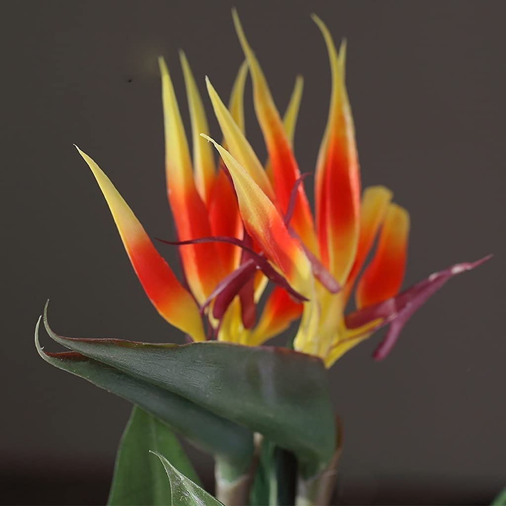 Artificial Strelitzia Fake Tree - Large Bird of Paradise Potted Plant for Indoor & Outdoor Decor - Modern Faux Plant for Home, Office, Wedding & Gift Giving