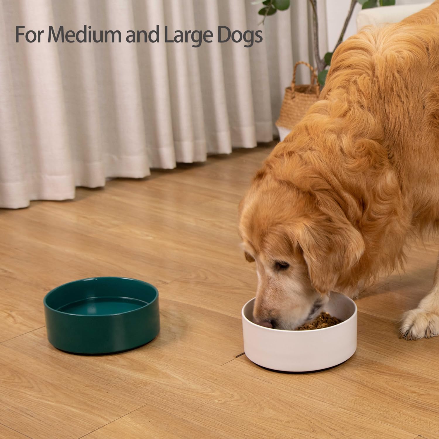 Non-Slip Ceramic Dog Bowl with Silicone Base - 8 Inch Large Spill-Proof Pet Food and Water Dish for Medium & Large Breed Dogs - Microwave Safe White Dog Feeder - Perfect for Messy Eaters and Active Pets at Home or Travel