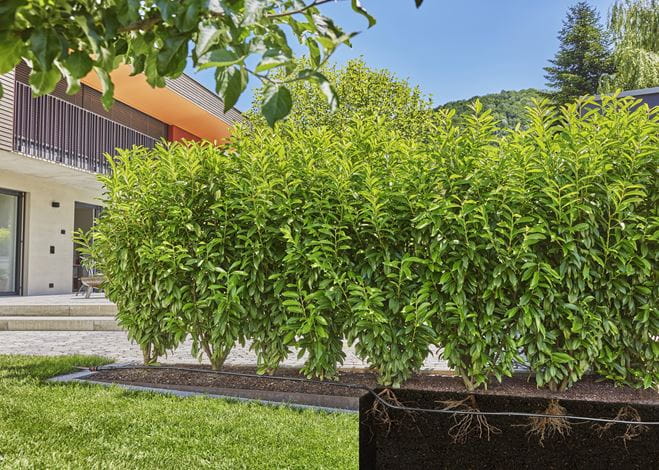 Gardena Micro Drip Irrigation Hedge/Bush Watering Kit (50m/164ft) - Efficient Plant Watering System for Gardens, Shrubs & Landscaping - Perfect for Water Conservation & Healthy Plant Growth