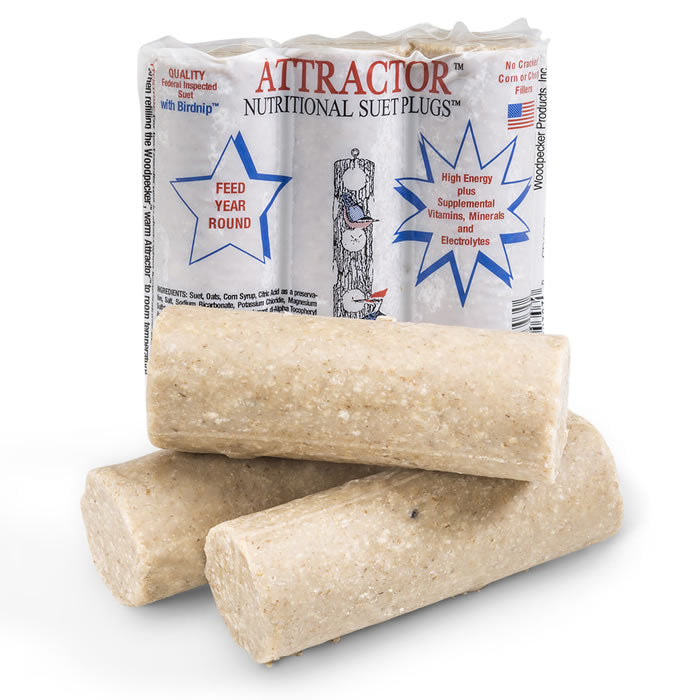 Original Suet Plugs for Birds - 12 Pack Wild Bird Feeders - Attracts Woodpeckers, Nuthatches & More - Perfect for Backyard Birdwatching & Nature Lovers