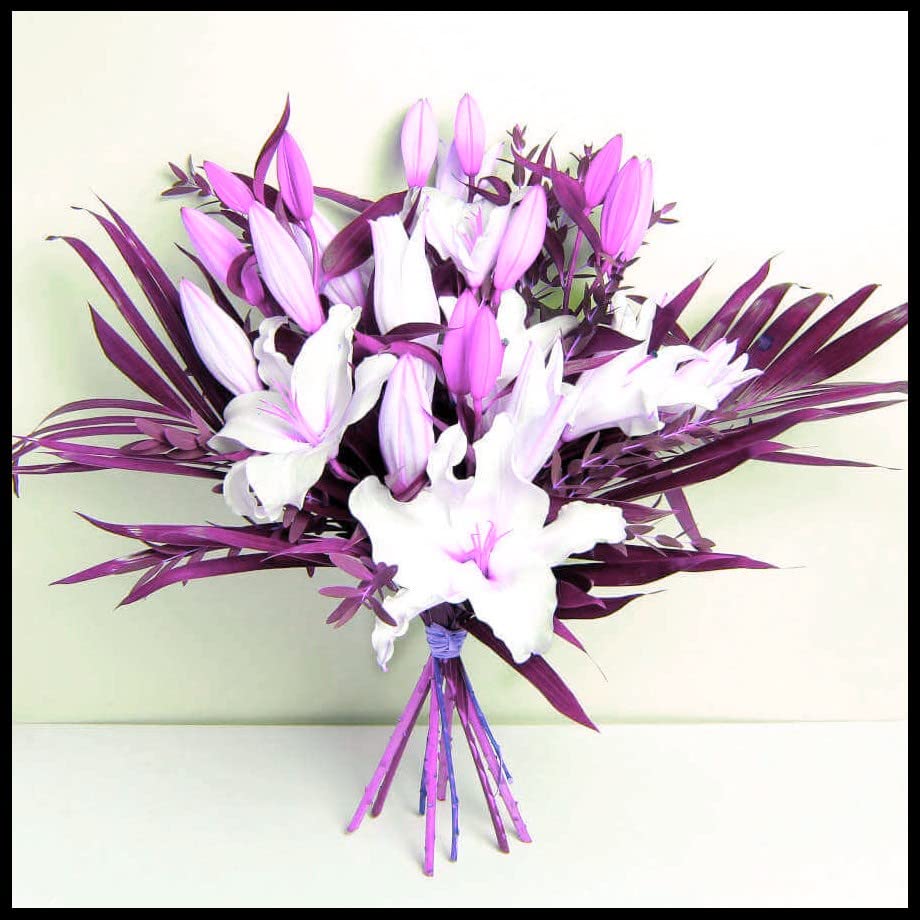 10PCS Fugalaucm Lily Tubers Bulk Bulbs - Perennial Flower Plants for Pots, Gardens & Landscaping - Easy to Grow Indoor/Outdoor Flowers for Home Decor & Wedding Bouquets