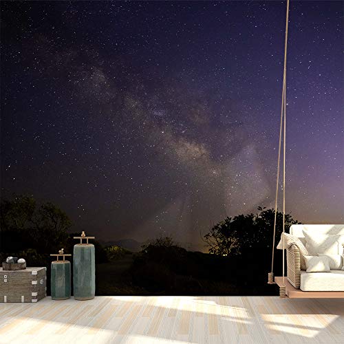 Starrysky-2003-n25