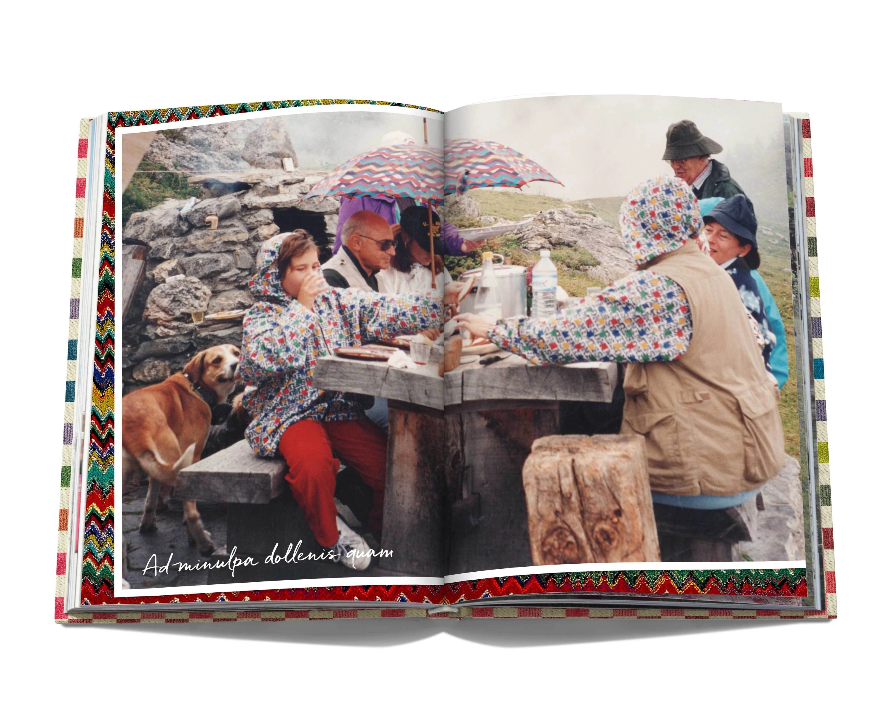Missoni Family Cookbook: Authentic Italian Recipes for Home Cooking | Perfect for Family Dinners & Entertaining